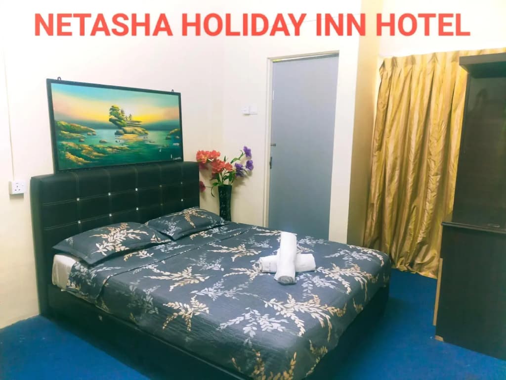 netasha holiday inn - photo 2