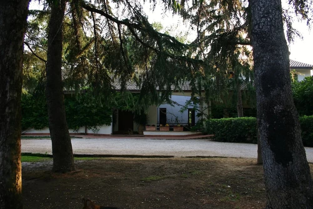 Green Oasis B&B - photo 10