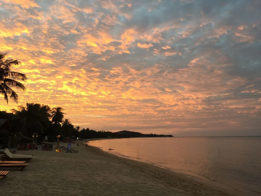 The Cosy Beach Resort - photo 19