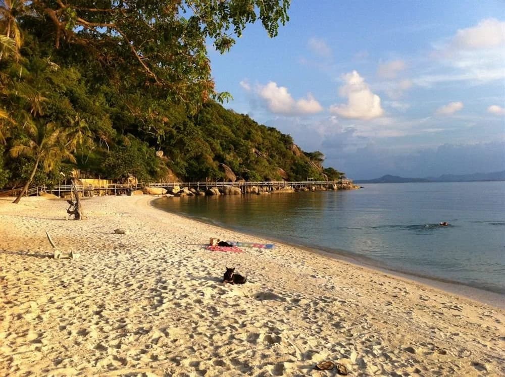 Leela Beach Resort - photo 15