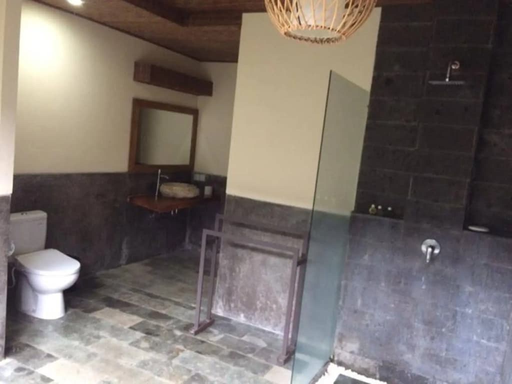 Bucu View Ubud Resort - photo 19