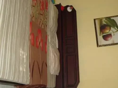 Sudana Homestay - photo 2