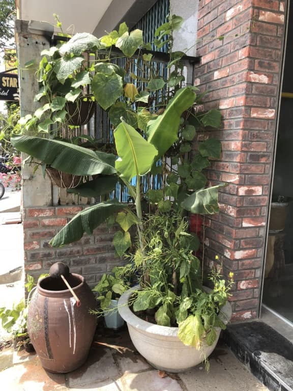 Origo Hotel Da Nang - photo 17