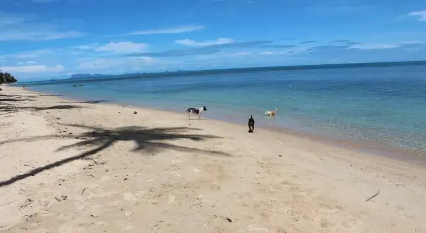 Bungalow Samui Ocean View - photo 4