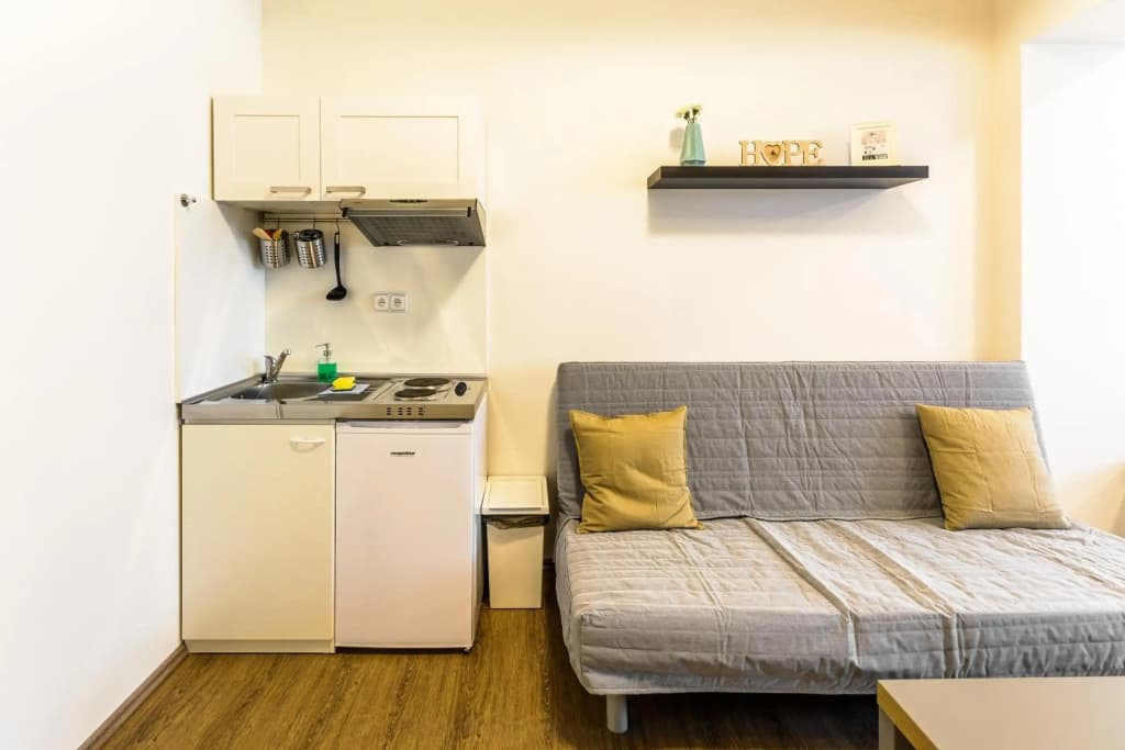 Zizkov Cosy Studio Apartments - photo 22