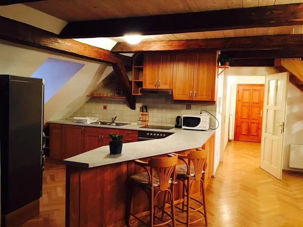 Charles Bridge Apartments - photo 3