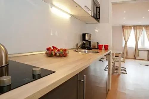 Aurora Apartment Danube View - photo 18