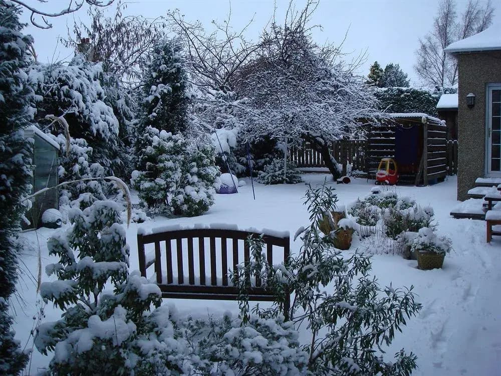 Bield B&B - photo 9