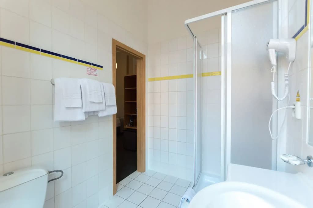 Hotel Adler - Czech Leading Hotels - photo 10