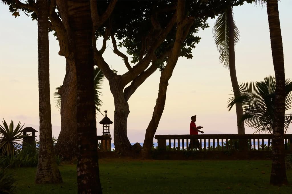 Hyatt Regency Bali Hotel - photo 29