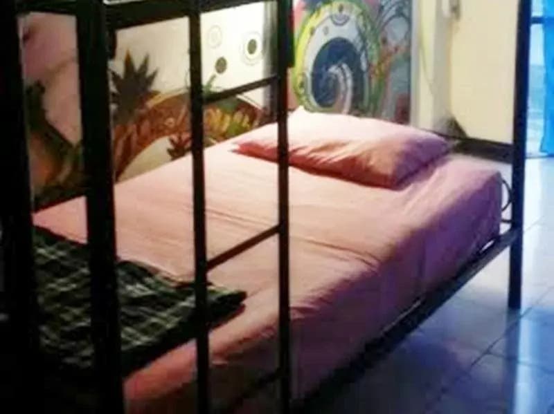 The Moatview Guesthouse - photo 26