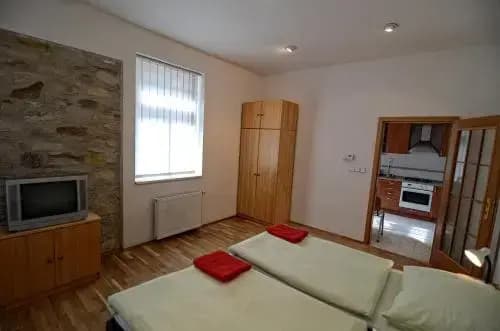 Golden Karlín Apartment - photo 2