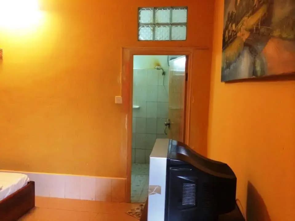 Urban Jungle Hostel - main photo