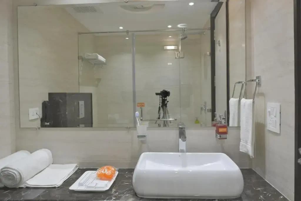 Hotel Tara Palace Daryaganj - photo 8