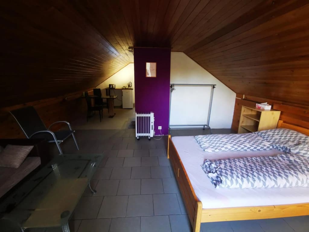 Apartments Zbraslav - photo 3
