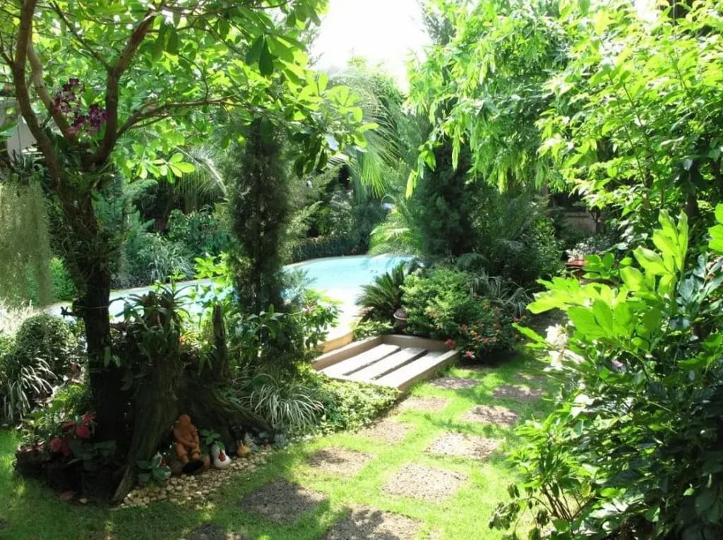 Zea Za Garden - photo 34