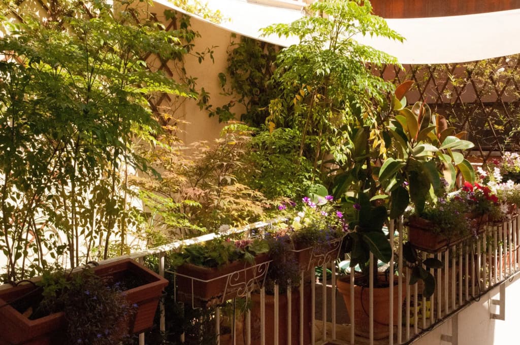 Relais Teatro Argentina - photo 10