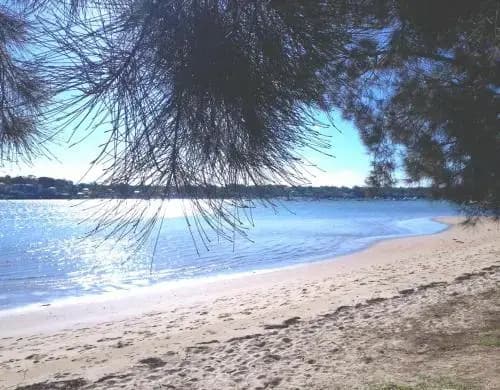 The Resort at Cronulla - photo 3