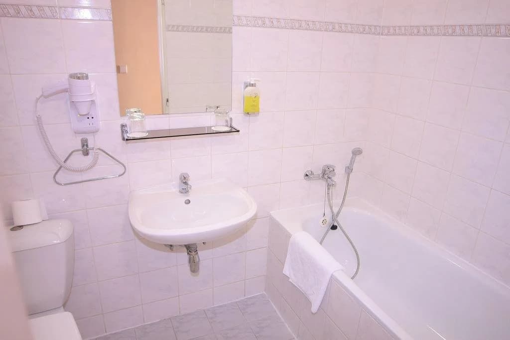 Hotel Dalimil - photo 10