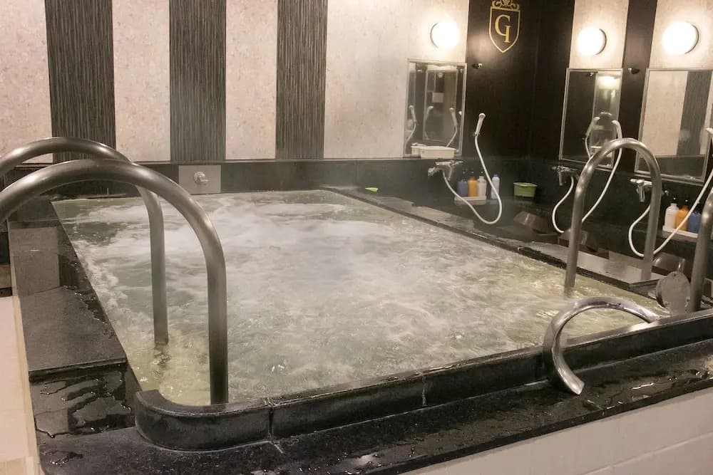 Spa & Capsule Hotel GrandPark-Inn Sugamo - photo 45