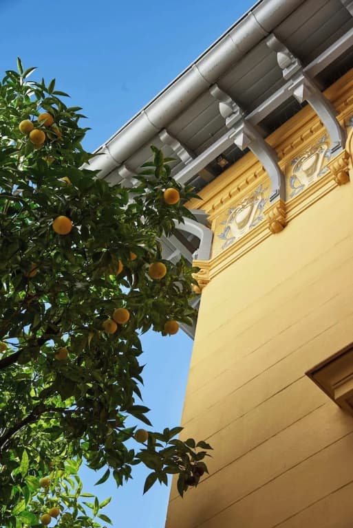Maison des Barons - photo 14