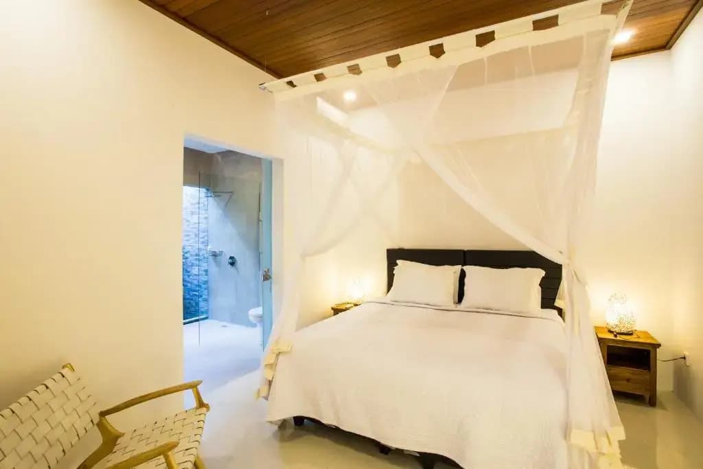Deluxe Kamboja Villa - photo 3