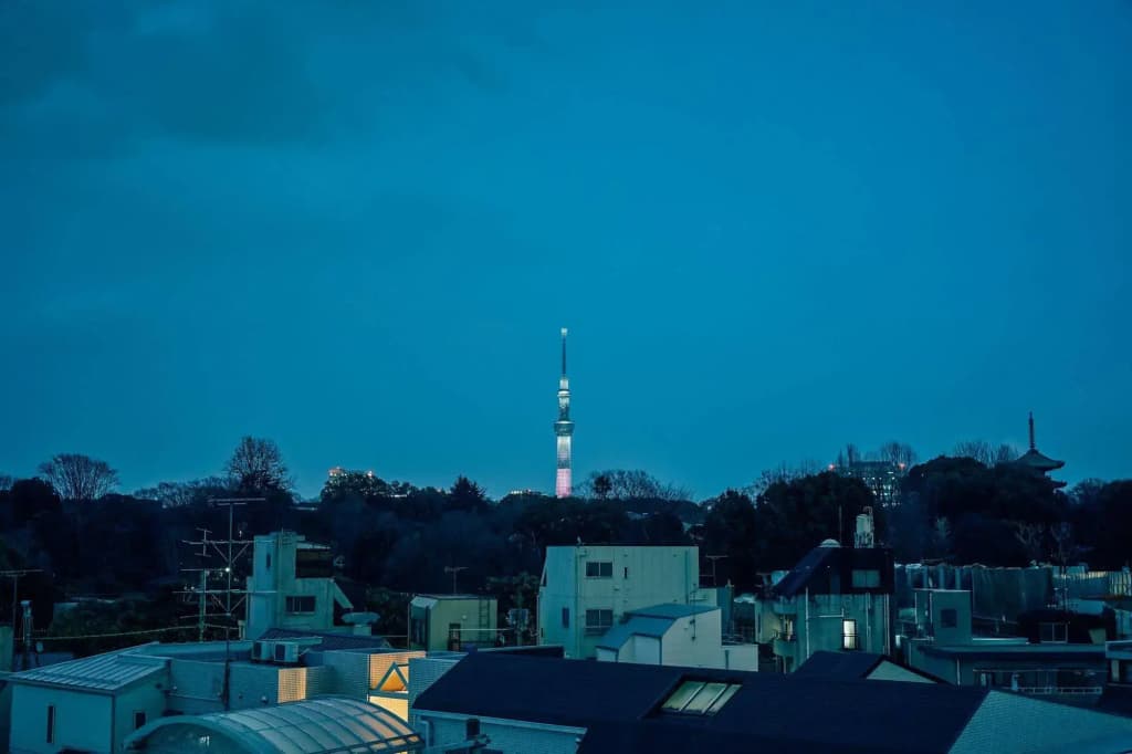 Hotel Graphy Nezu - photo 22