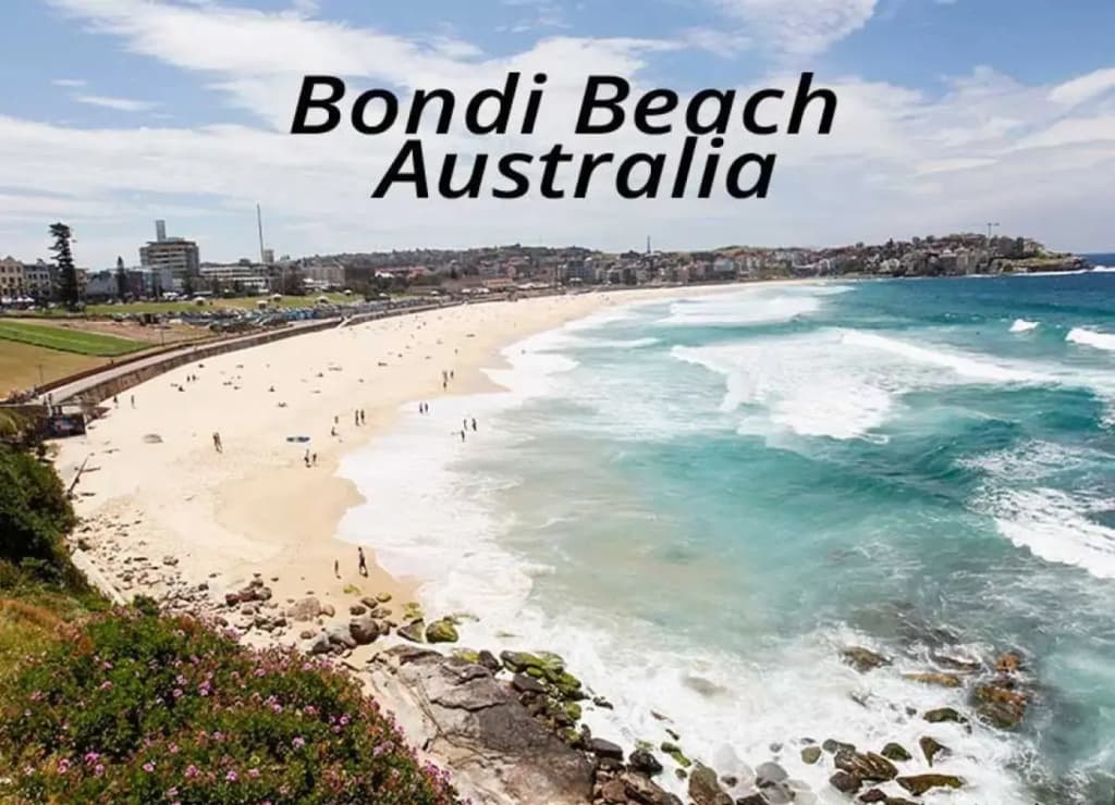 Beautiful Bondi H335 - photo 9