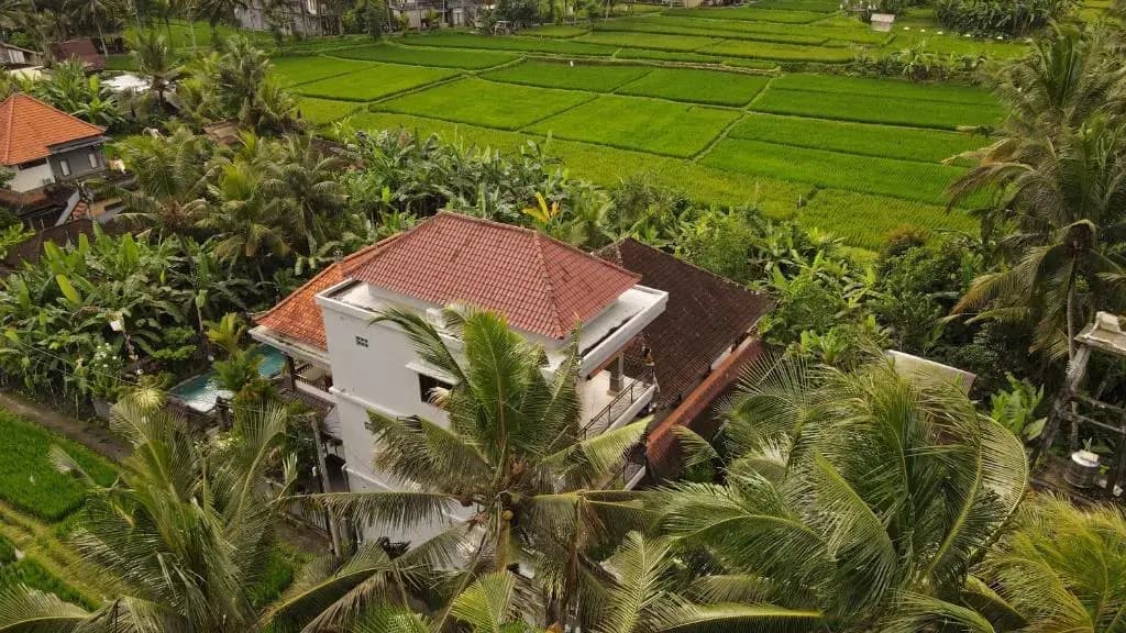 Nirwa Ubud Homestay - photo 9