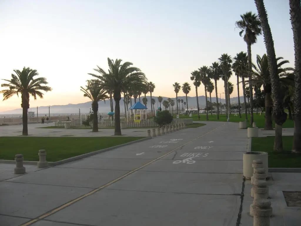 Venice Beach Gem - photo 17