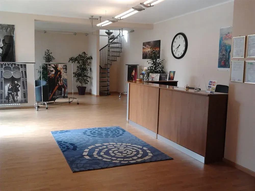 Hotel Faenza - photo 2
