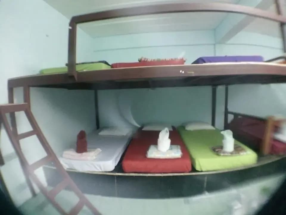 My Travel Homestay Hostel - Adults Only - photo 13