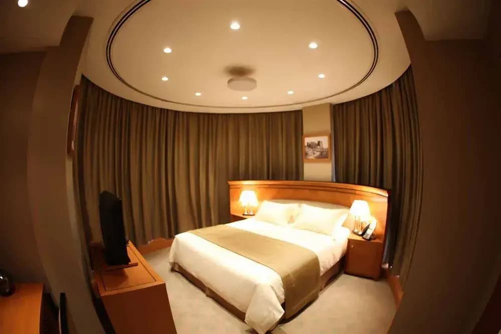 Wiseman Grand Hotel - photo 3
