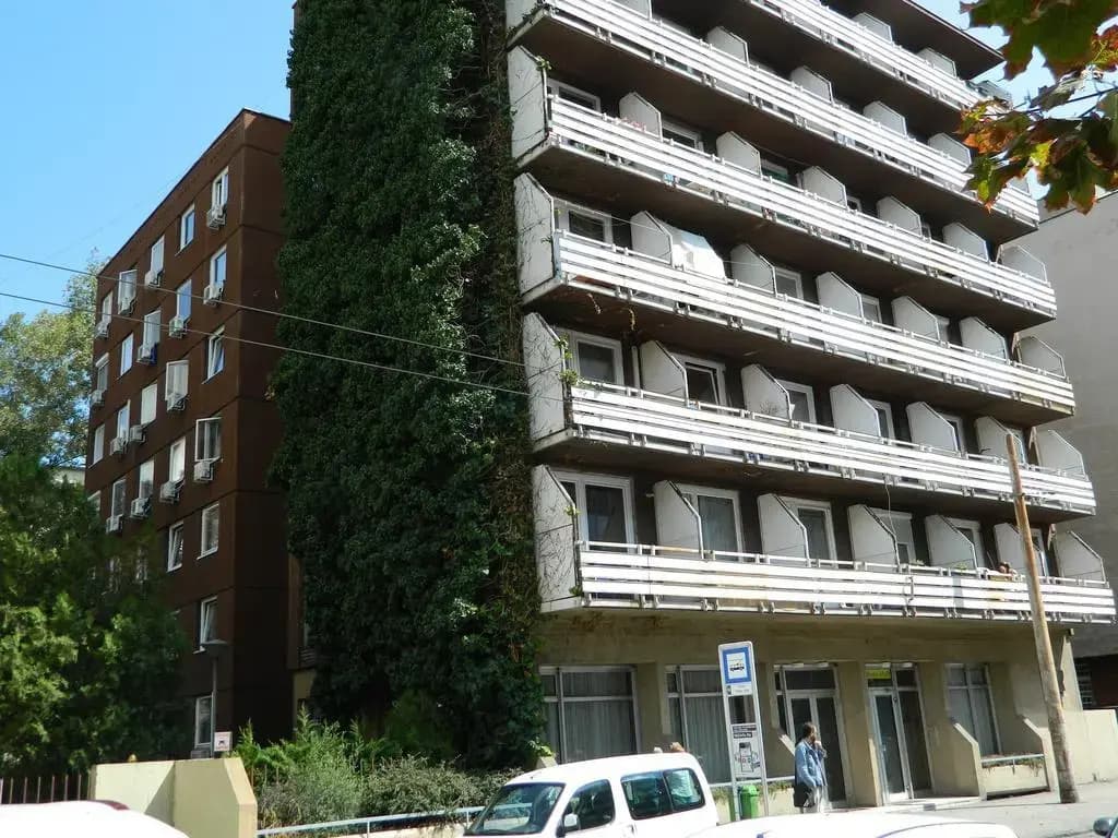 Young Center - photo 4