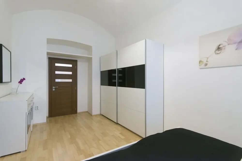 Spacious apartment near Wenceslas Square - photo 2