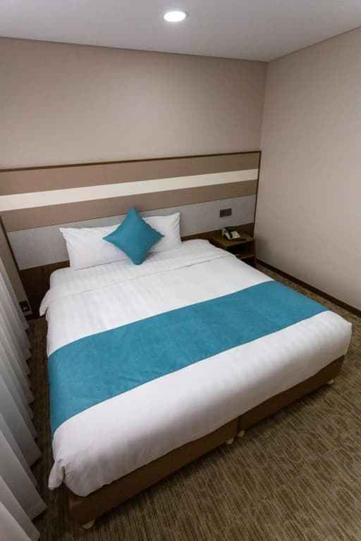 THE RECENZ Dongdaemun Hotel - photo 43