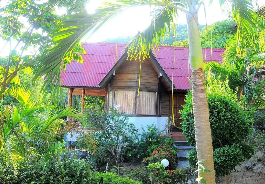 Venus Resort - photo 16