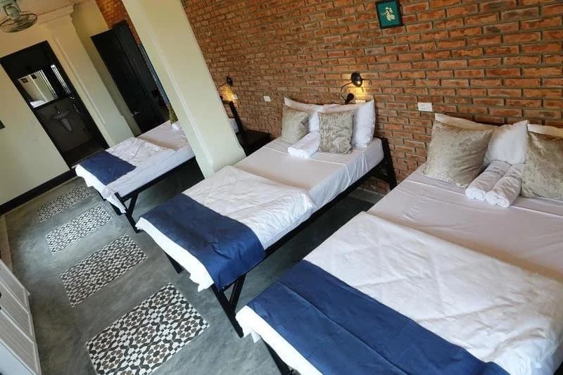 Paddys Hostel - photo 4