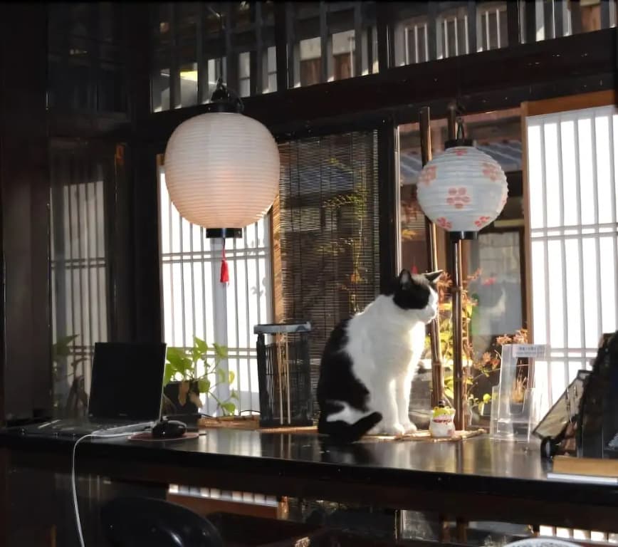 Kyoto Gion KIRAKU-INN - Hostel - photo 20