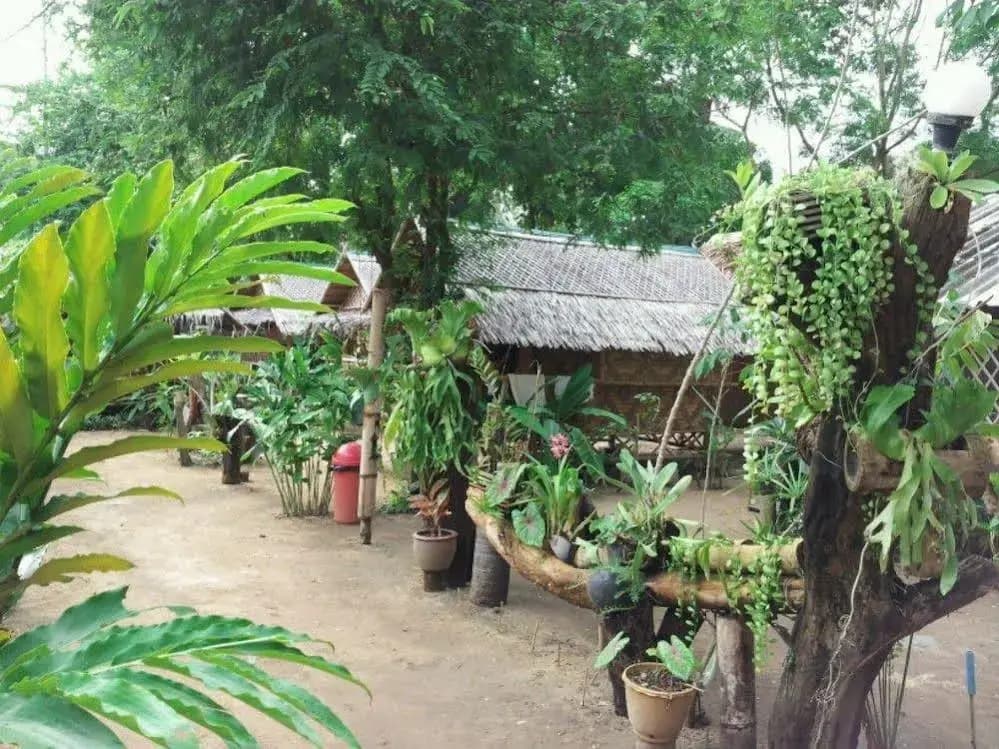 Jackie Bamboo House - photo 15