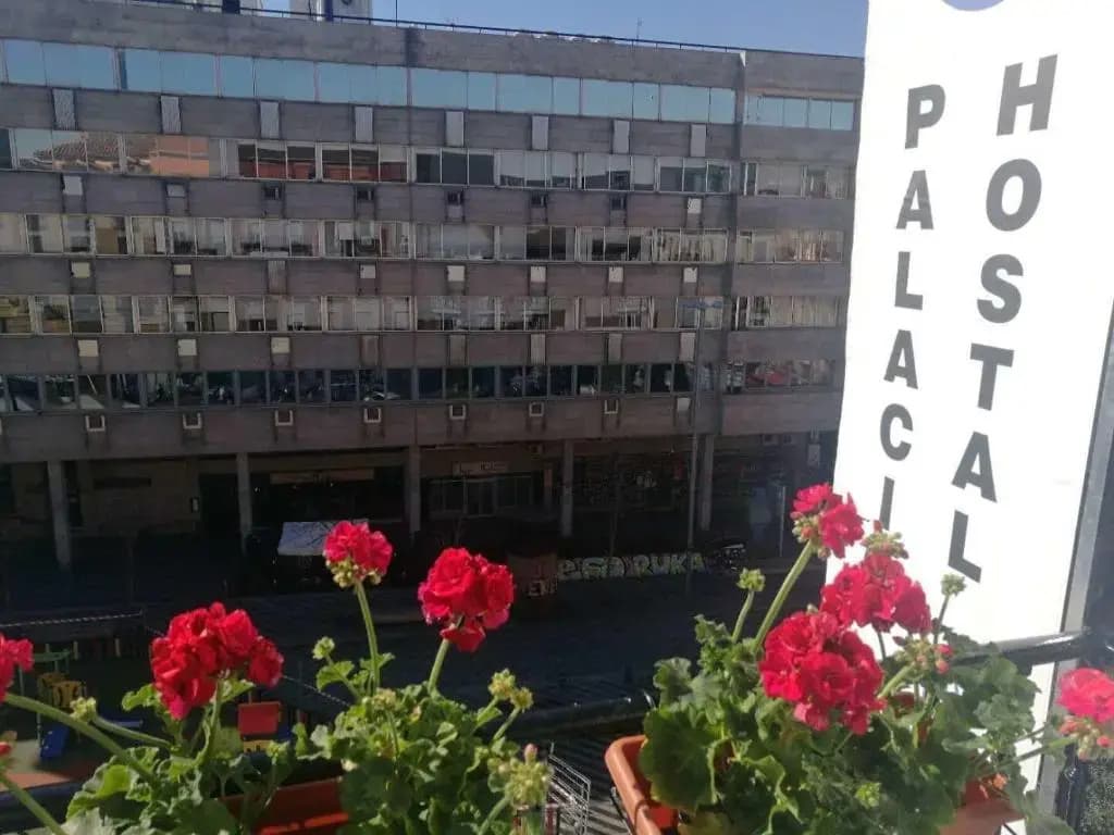 Hostal Palacio Luna - photo 1