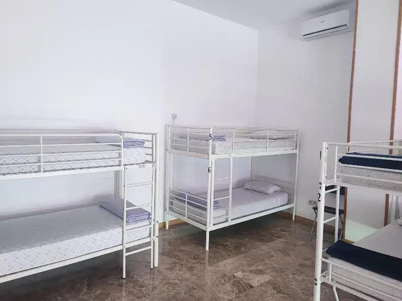 Hostel M Torres - photo 4