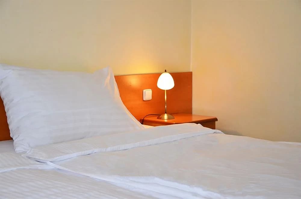 Albionette Hotel - photo 4