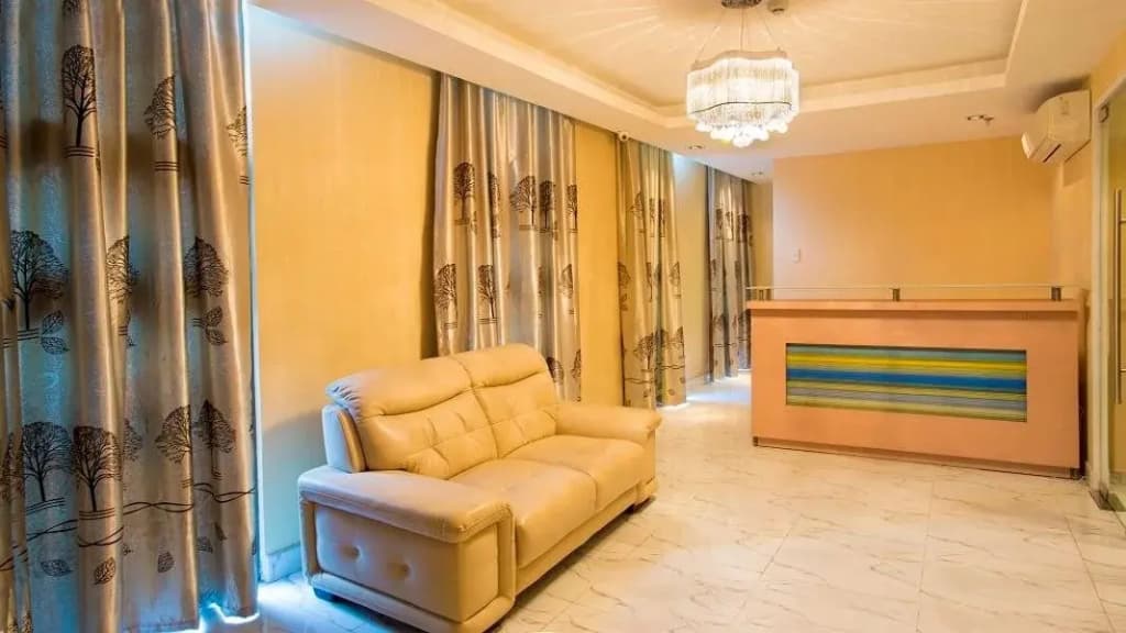 Mismo Airport Hotel - photo 14