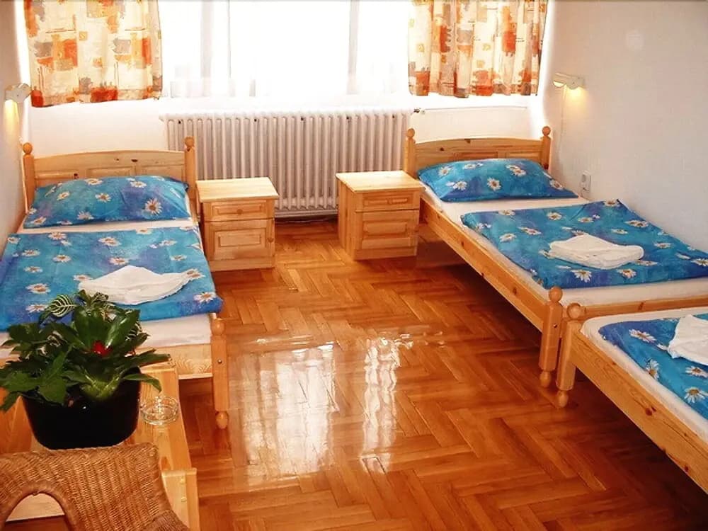 Hotel Rila Budapest - photo 5