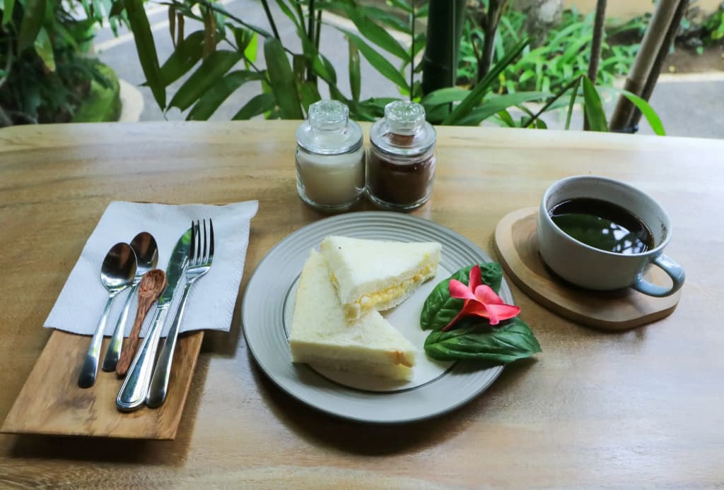 Wayan Homestay Sanur - photo 11