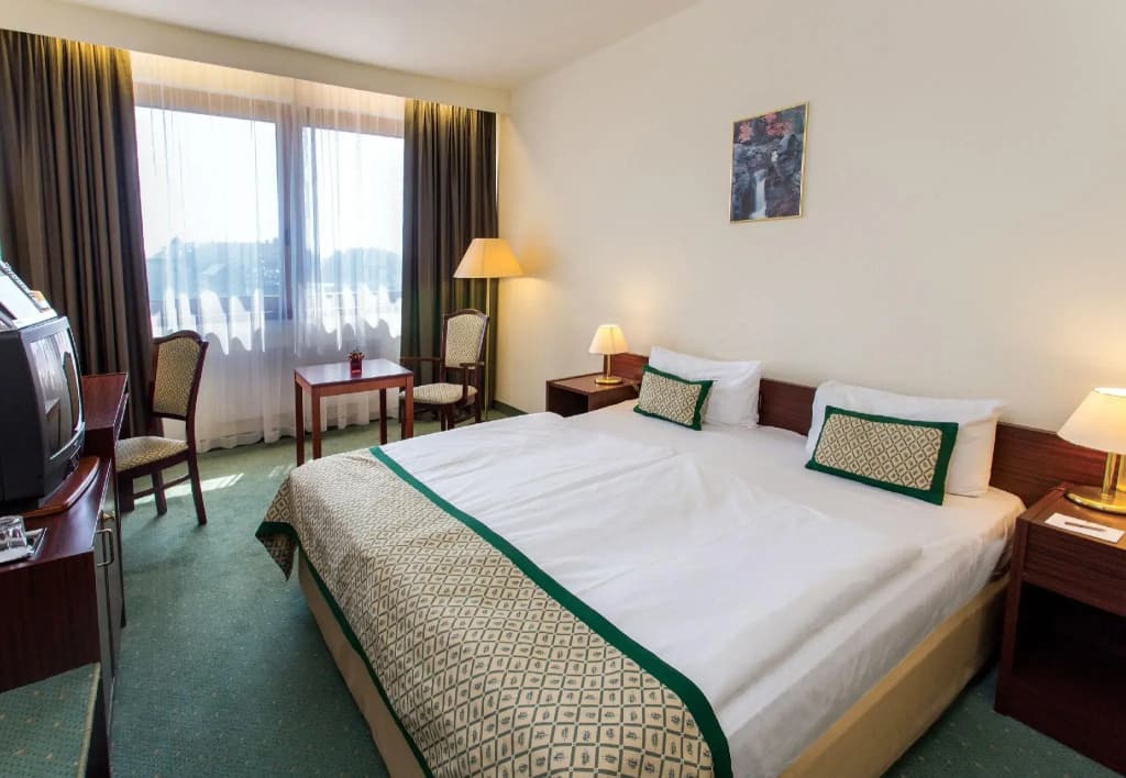 Danubius Hotel Hungaria City Center - photo 45