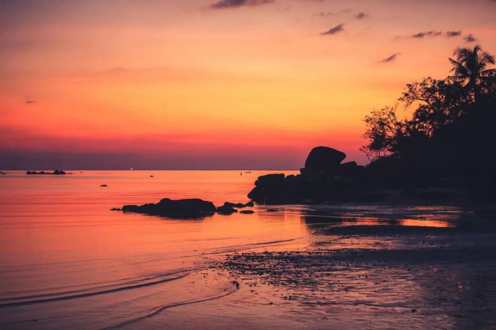 Anantara Layan Phuket Resort - photo 44