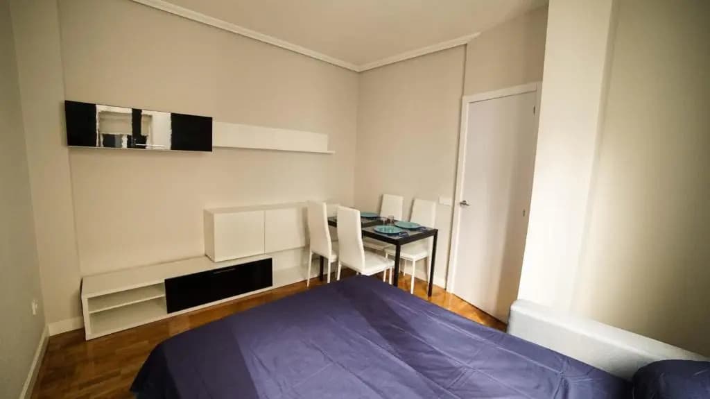 Apartments Madrid Principe 2 - photo 6