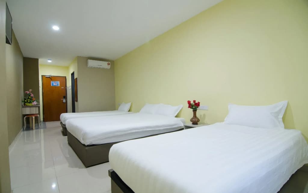 Hotel Raja Bot - photo 3